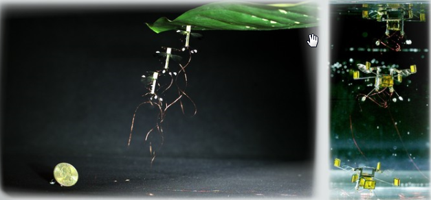 Bio-inspired Robots: Flying Like a Fly