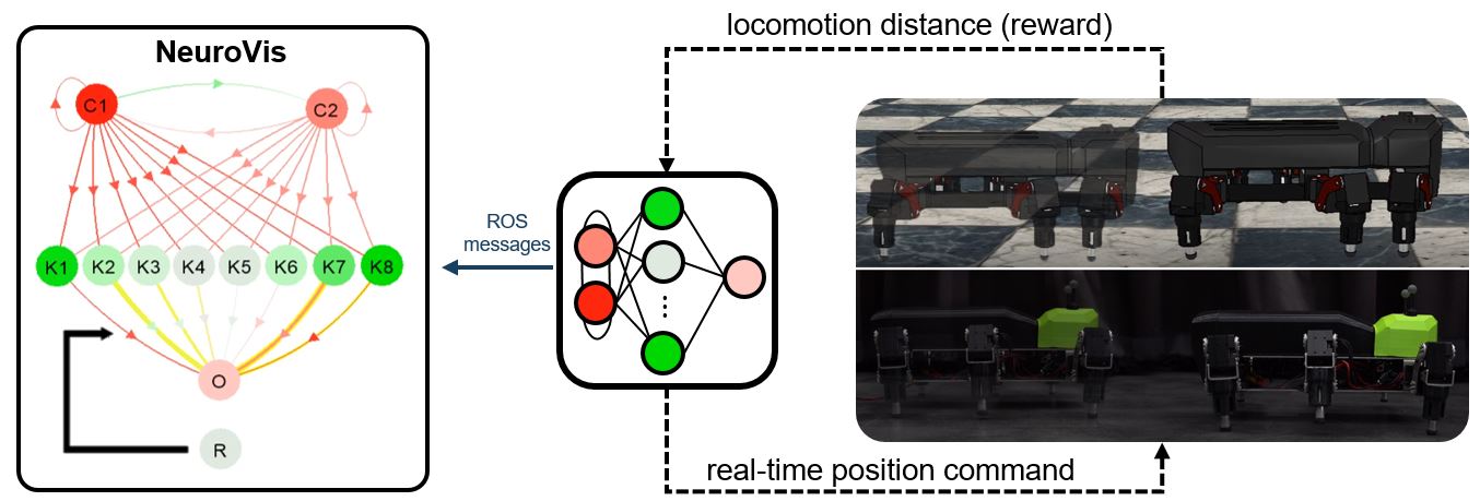 NeuroVis use case II overview