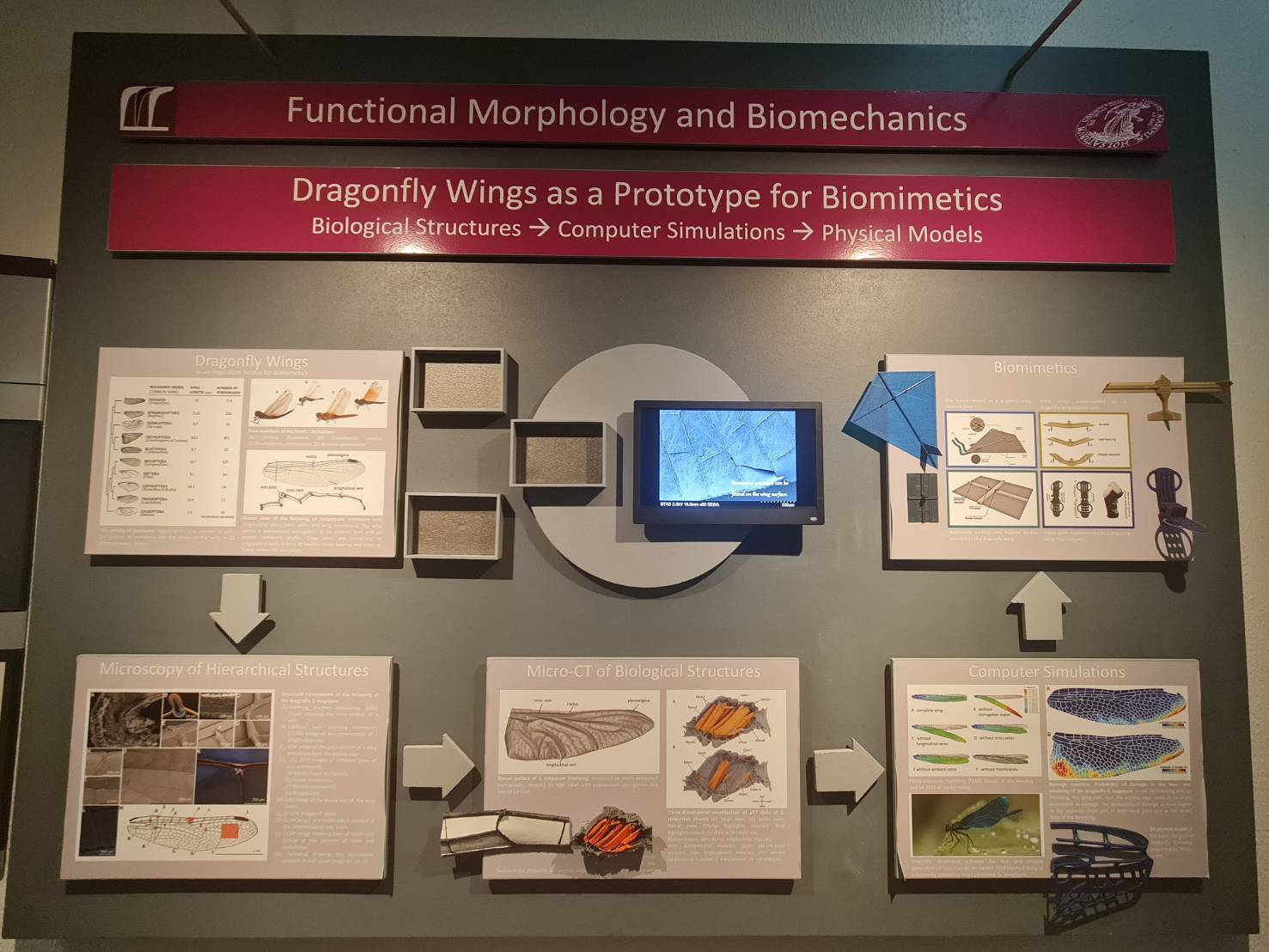 Visited the Functional Morphology and Biomechanics research group at Kiel University