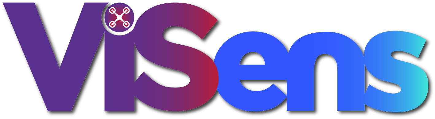 ViSens project logo