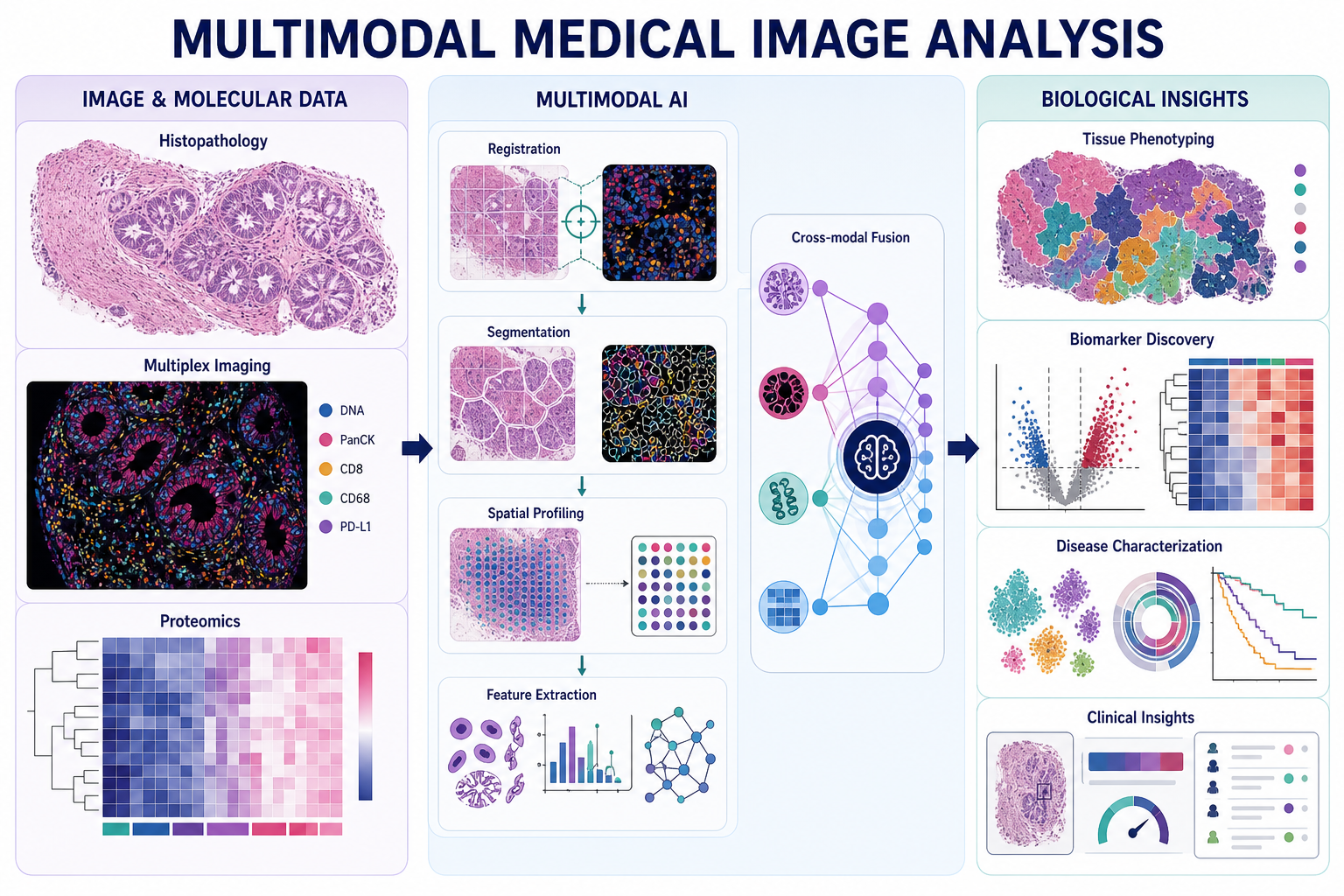 Multimodal medical image analysis diagram showing histopathology and molecular data, multimodal AI processing, and resulting biological insights
